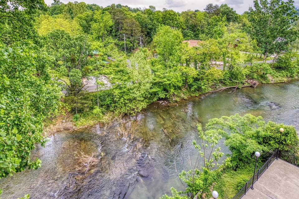 View of the river from the balcony