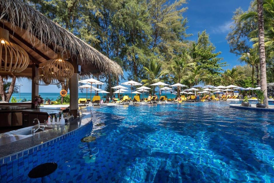 Outdoor pool, sun loungers