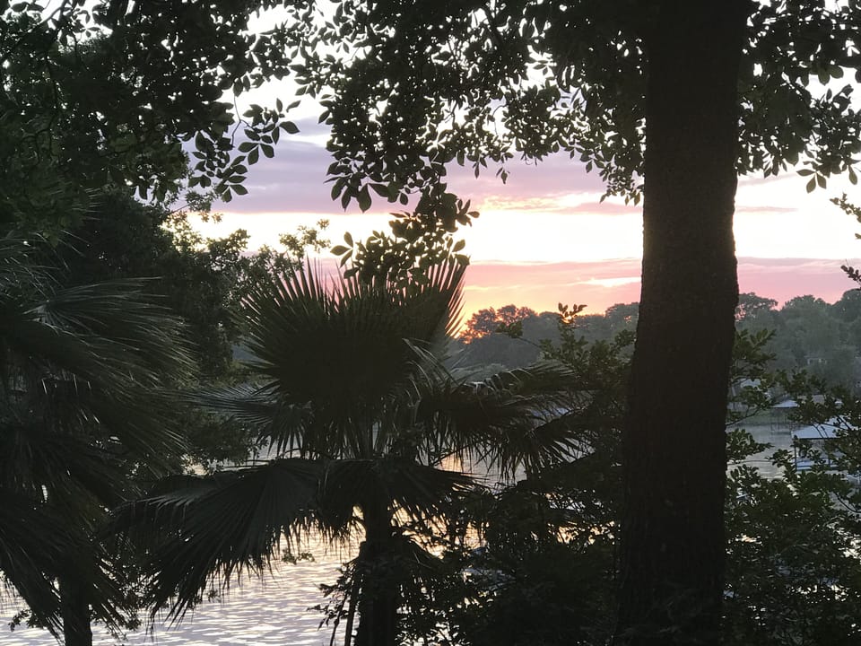 Sunrise View
