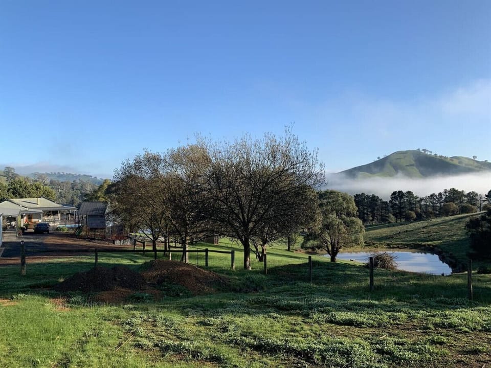 Winter`s morning mist rising over Lake Eildon