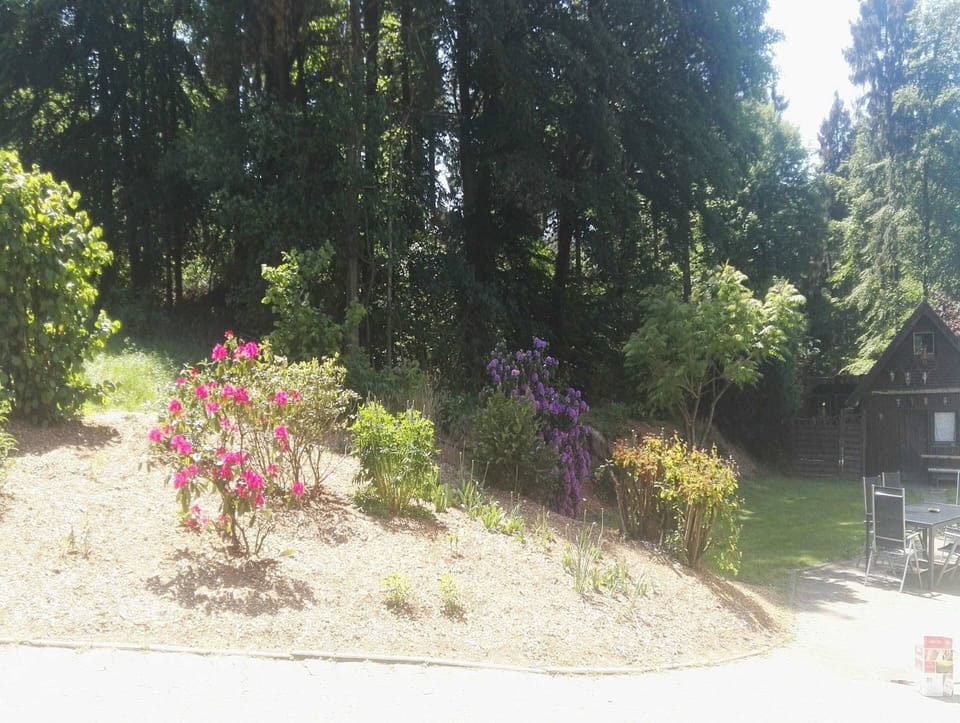 House | Garden