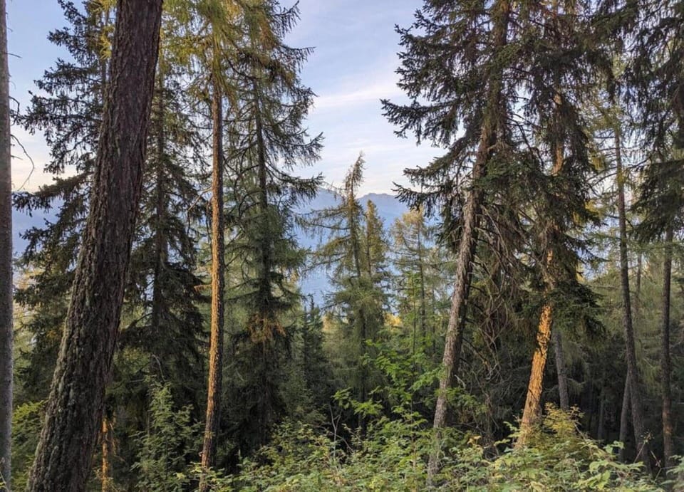 Chalet | View from property