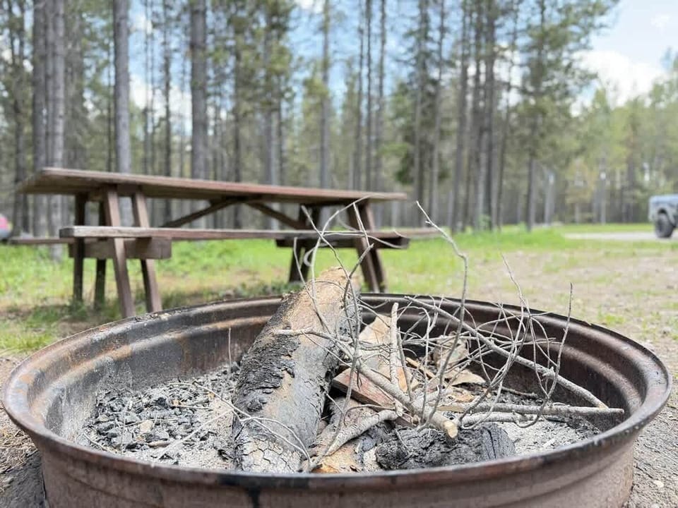 Fire pit and picnic table.
