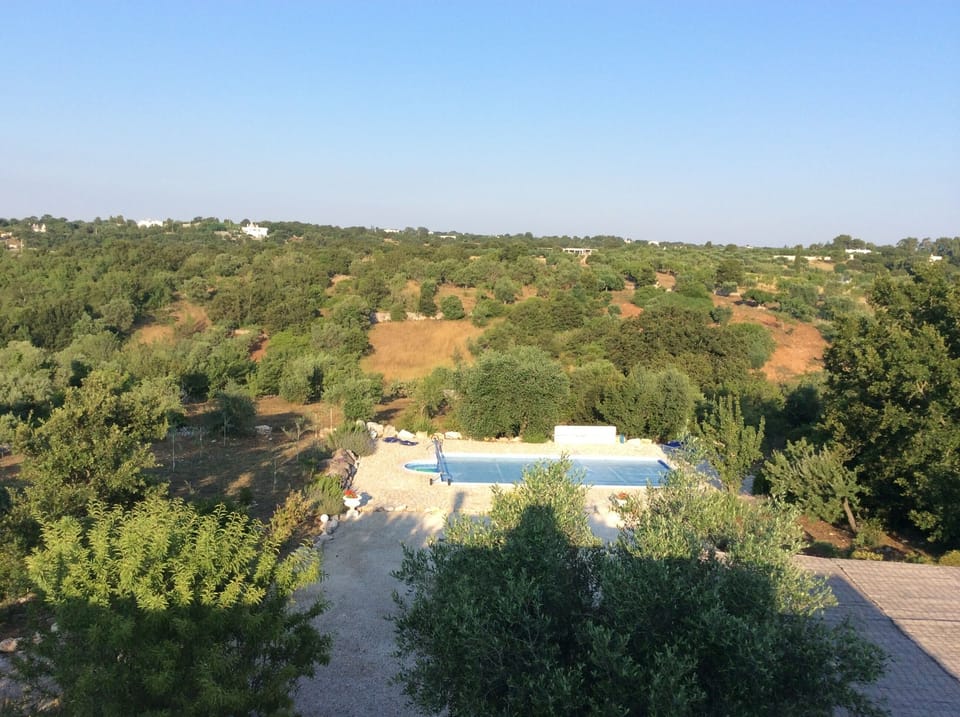 Panoramic roof top view
Special offer for remaining weeks 