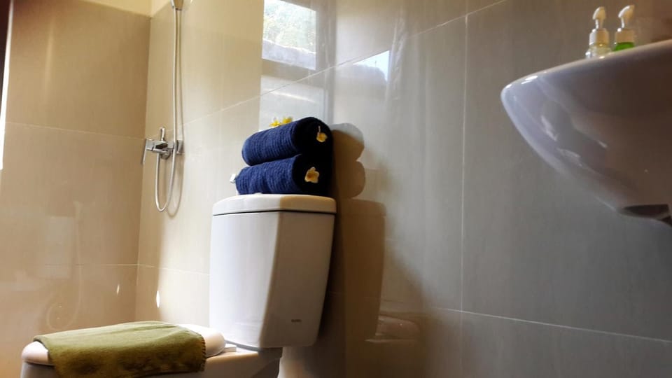 Shower, free toiletries, towels