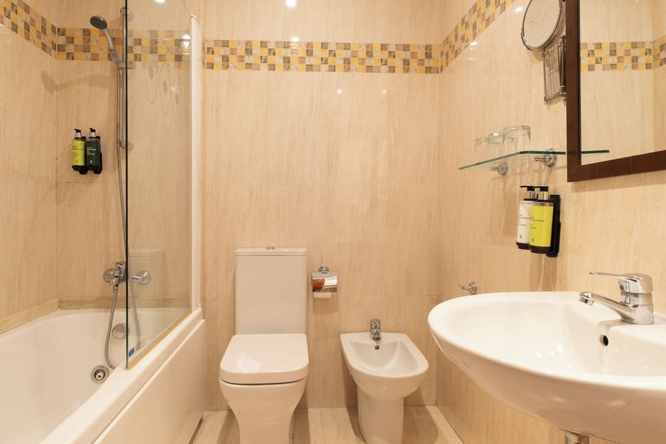 Bathtub, hair dryer, bidet, towels