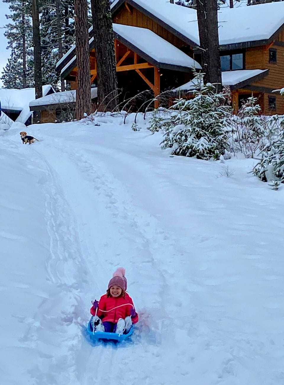 Sledding right behind the house during the winter months. 