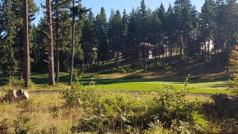 View of the golf course. 