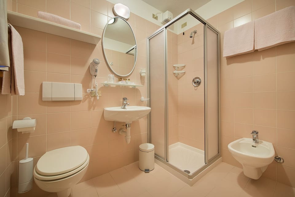Shower, free toiletries, hair dryer, bidet