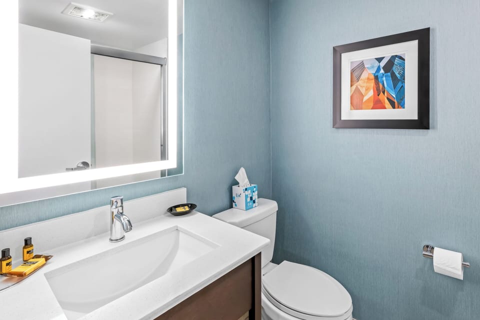 Combined shower/tub, eco-friendly toiletries, hair dryer, towels