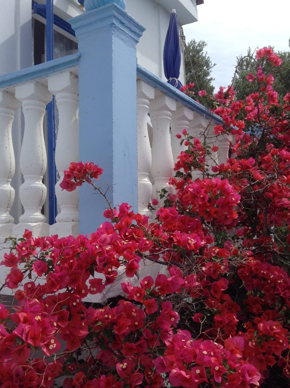 Apartment, 1 Bedroom, Balcony, Garden View | Balcony