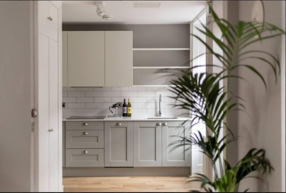 Apartment | Private kitchen | Fridge, microwave, oven, stovetop
