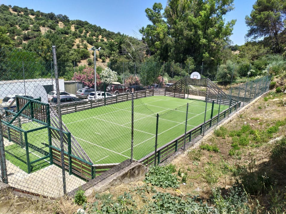 Sport court