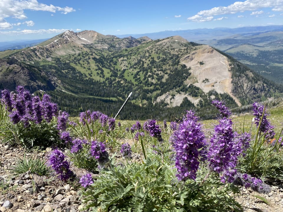 View from top of Sawtelle Mountain