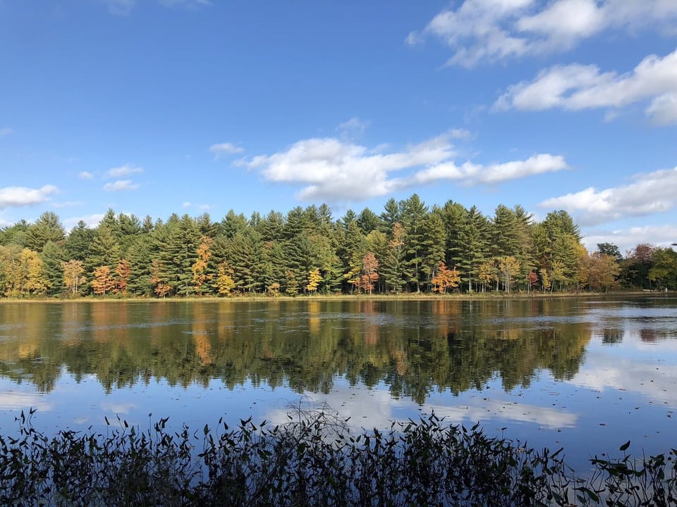Early Fall