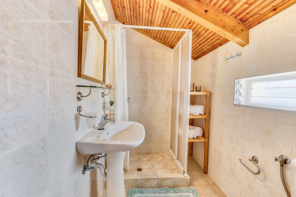 Suite | Bathroom | Shower, free toiletries, hair dryer, towels