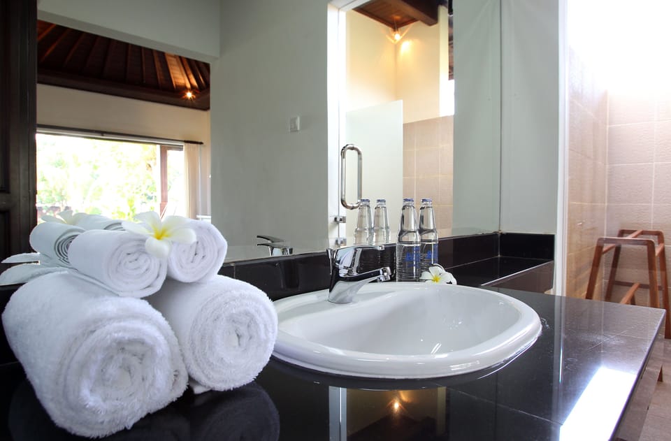 Premium Room, Garden View | Bathroom sink