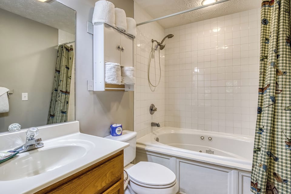 Chalet in the Smokies "Lee's Creekside" - Bathroom with jetted tub/shower combo