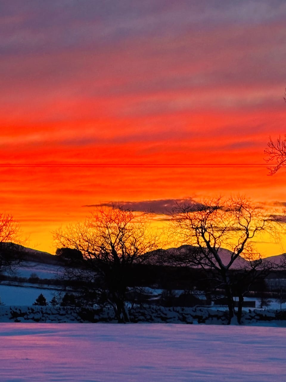Snowy sunset 