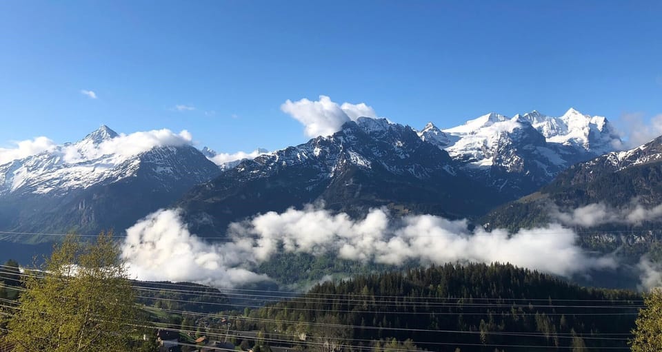 Ferienwohnung Chalet Häsi House in Canton of Bern (Region)