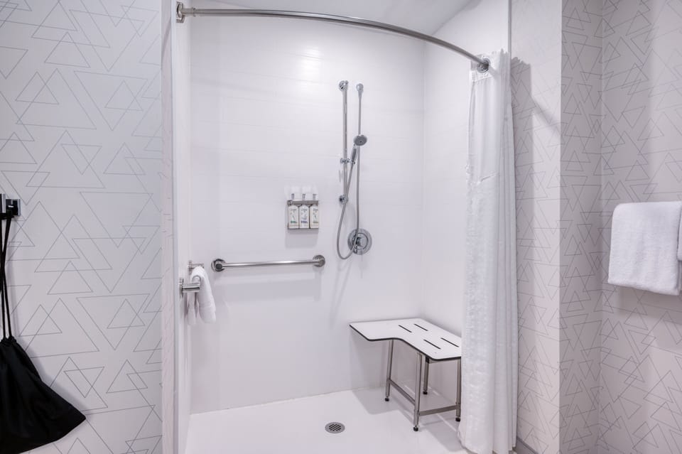 Standard Room, 1 King Bed, Accessible (Roll-In Shower) | Bathroom | Hair dryer, towels, soap, shampoo