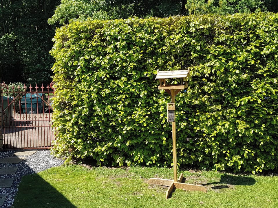 Garden | Cloud Cottage, Duns
