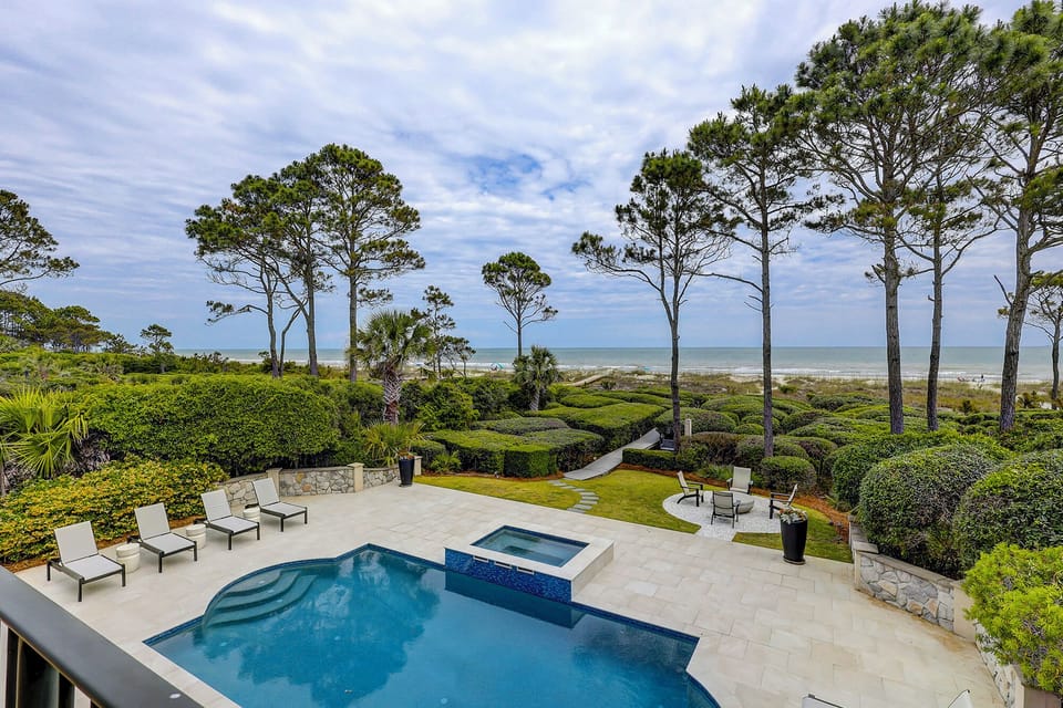 24 Sandhill Crane - Oceanfront Sea Pines Home