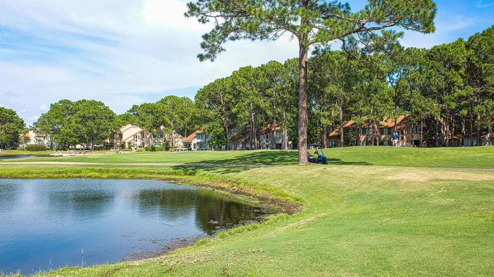 Enjoy a Round of Golf At One of Sandestin's Golf Courses