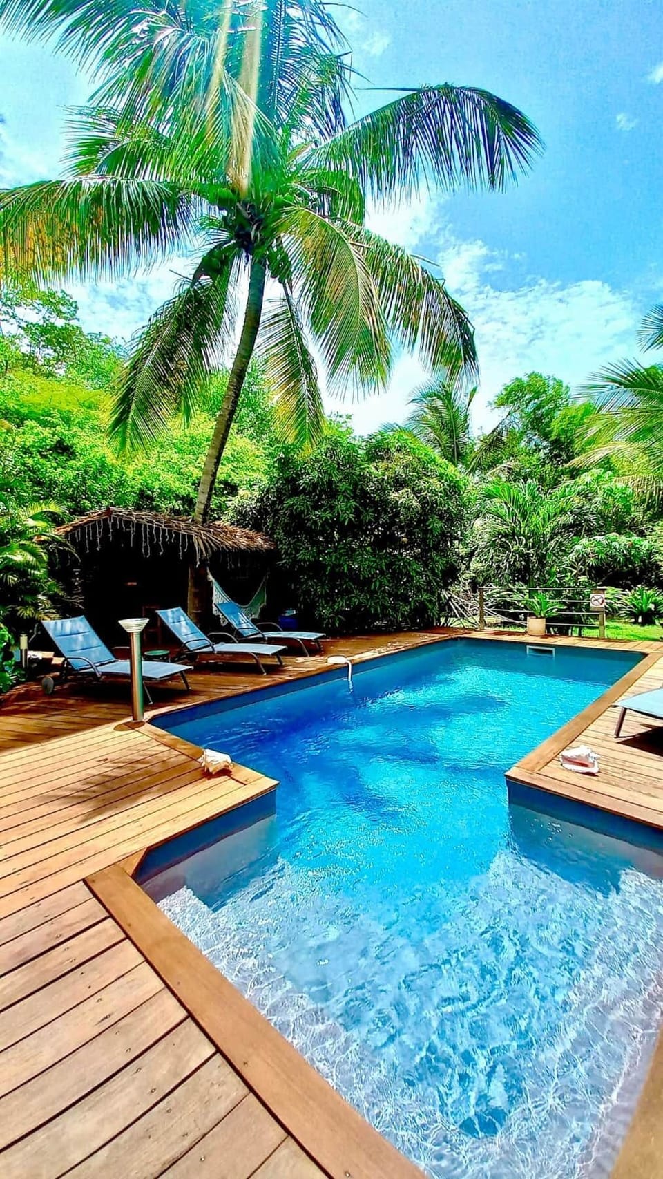 Atemoya Pool 2023