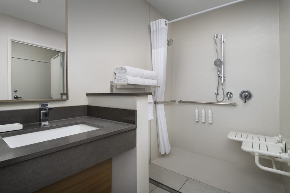 Room, 1 King Bed (Mobility/Hearing Access, Roll-In Shwr) | Bathroom | Free toiletries, hair dryer, towels, soap