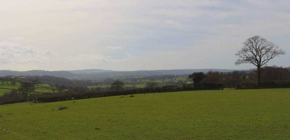 Cabin | Property grounds