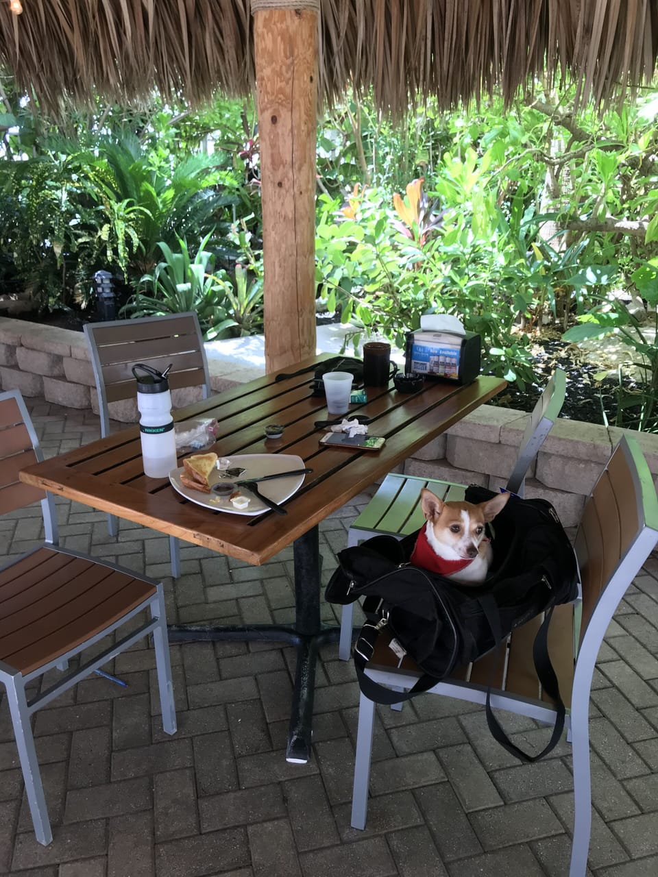 Brunch at the brunch tiki hut.   Nice and shady.  Yummie omelette.  Too cute!