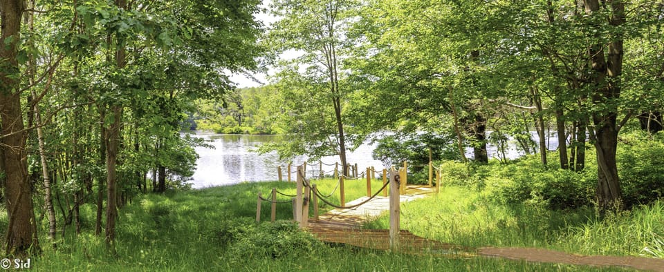 Private boardwalk to lake