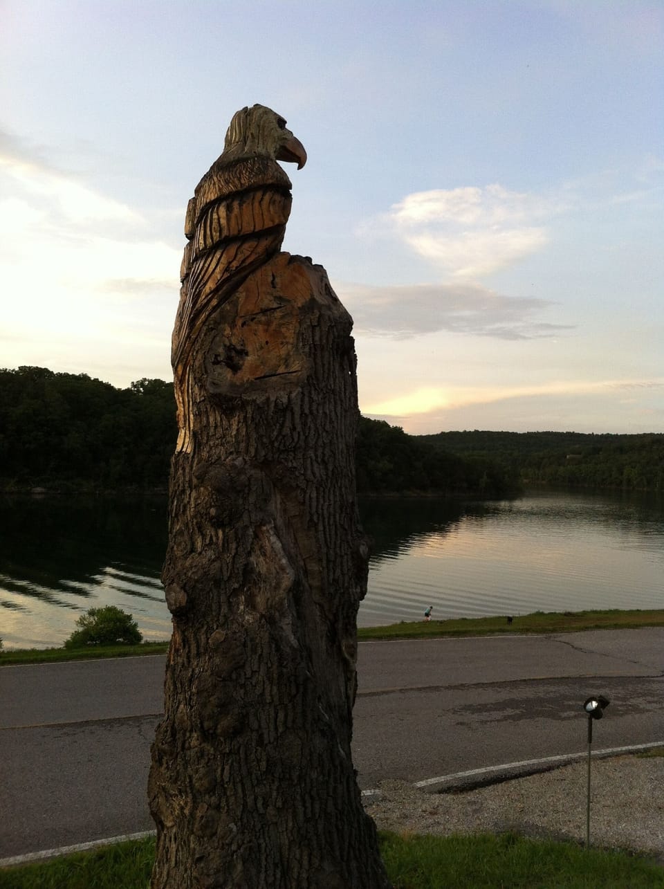 Eagle Tree Carving overlooking the beautiful calm water of Table Rock Lake. 