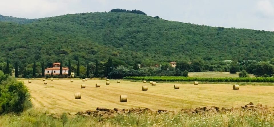 Land view from property