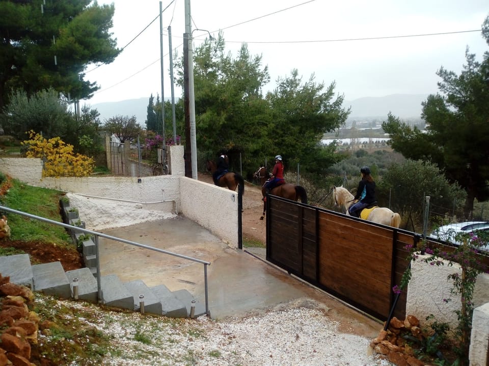 Βόλτα με άλογα