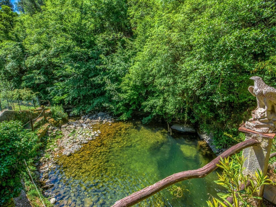 Nature, Vegetation, Natural Landscape, Nature Reserve, Water, Water Resources, Watercourse, Green, Riparian Zone, Tree
