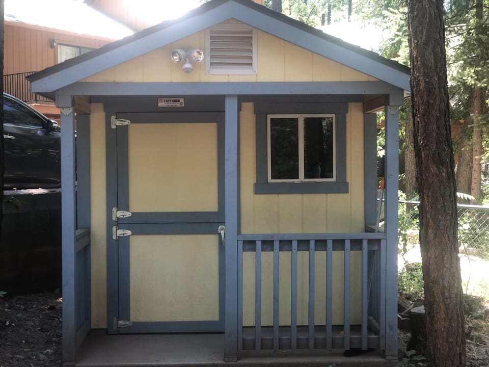 Fun Real playhouse for the littles