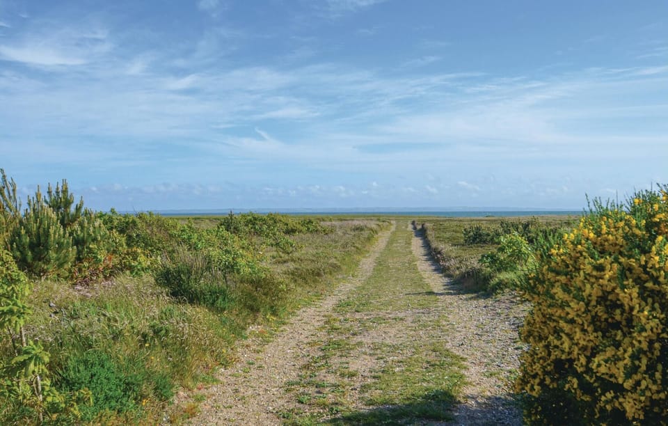 area