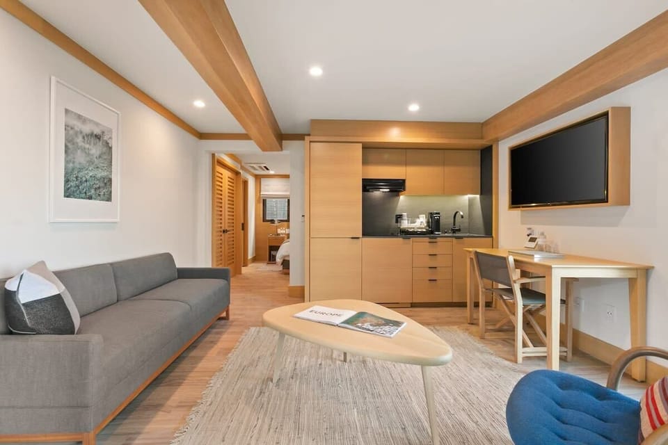 Pullout Sofa available for guests to make sleeping arrangements for 4. The pull out sofa  pulls out to a Queen size bed. 