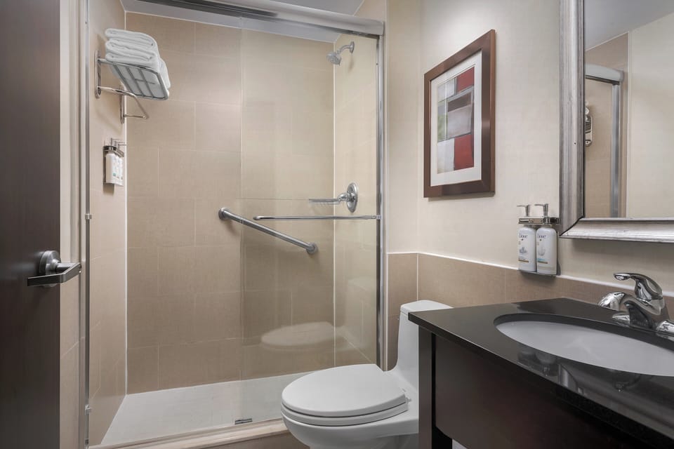 Combined shower/tub, free toiletries, hair dryer, towels