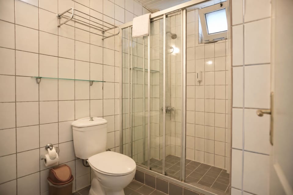 Economy Double or Twin Room | Bathroom | Shower, hydromassage showerhead, free toiletries, hair dryer