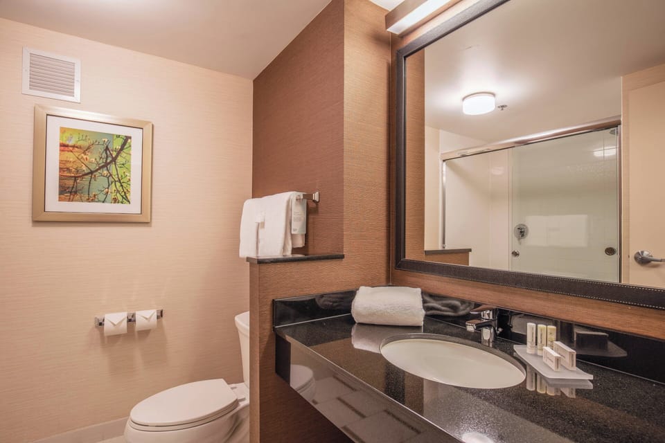 Shower, free toiletries, hair dryer, towels