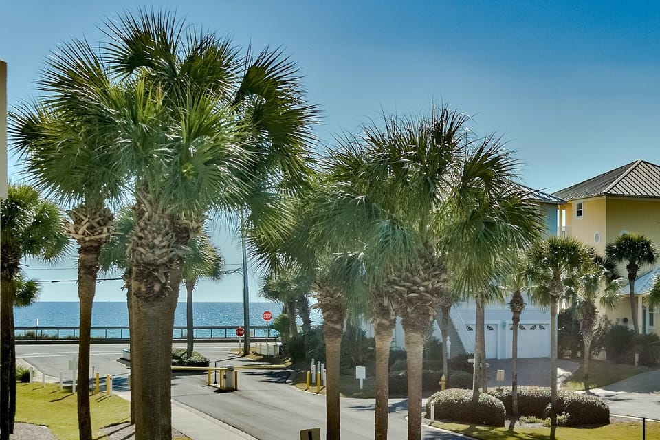 Beach Views