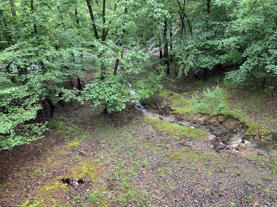  View from deck
