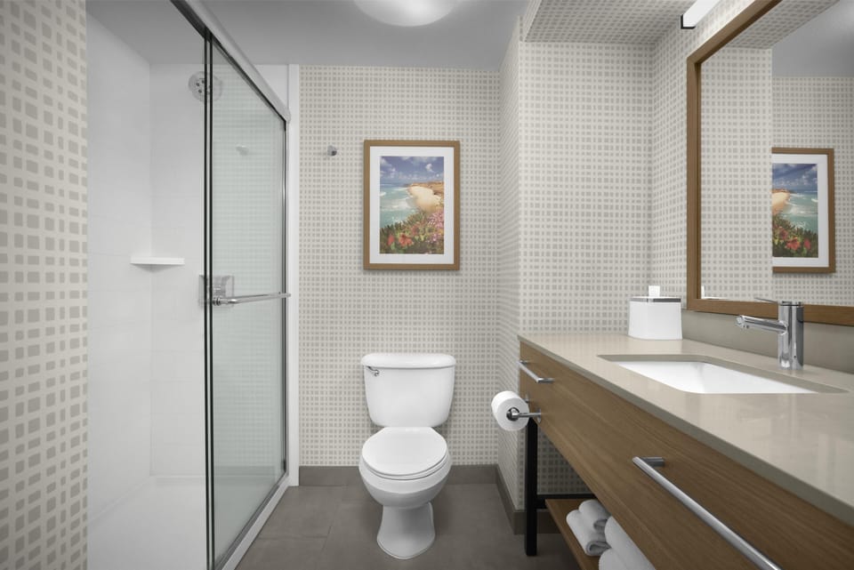 Room, 1 King Bed, Non Smoking | Bathroom shower