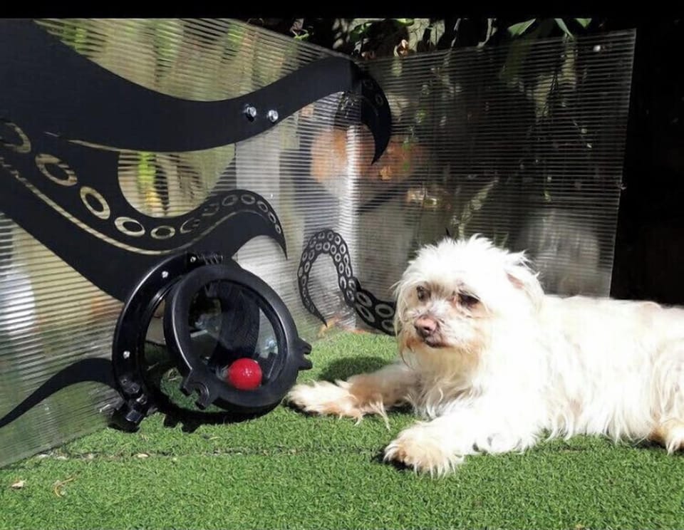 Pet-friendly