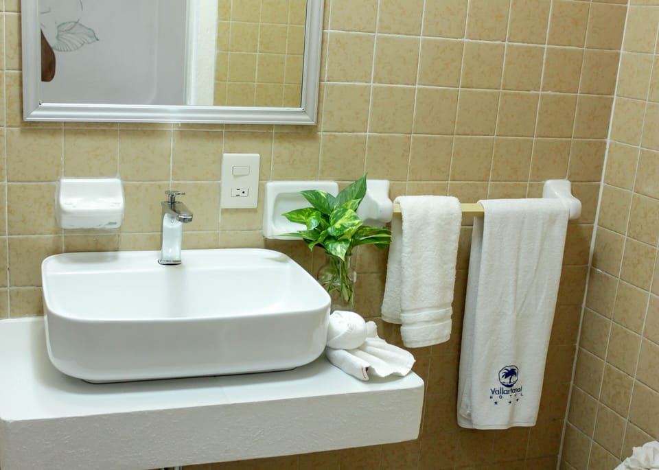 Economy Room | Bathroom | Shower, designer toiletries, hair dryer, towels
