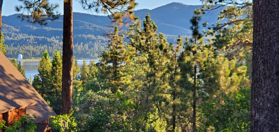 Scenic View from House. - Beautifully landscaped backyard with a great space for entertaining, lighting & more, with a peekaboo view of the lake.