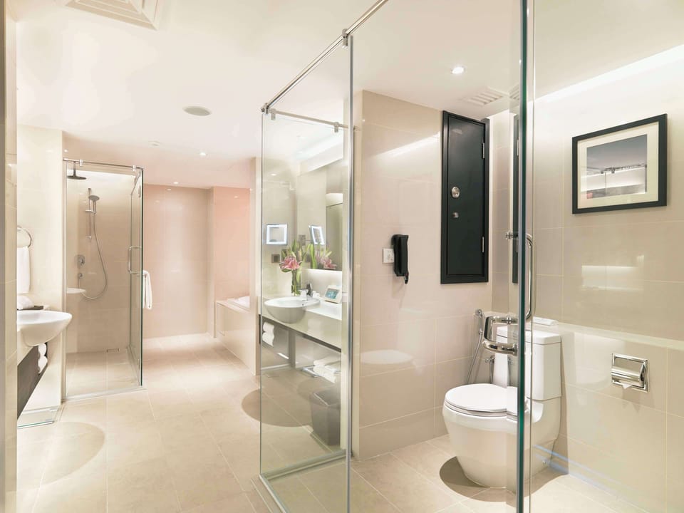 Combined shower/tub, deep soaking tub, free toiletries, hair dryer